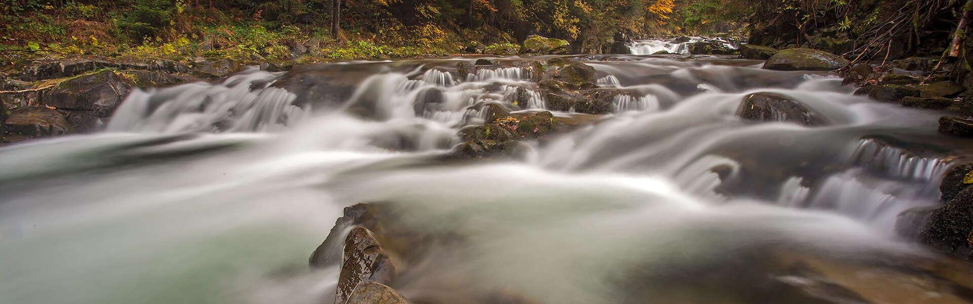 Image: Odkryj Beskid Wyspowy jesienią. Niespieszne wędrówki, grzybobranie i malownicze krajobrazy