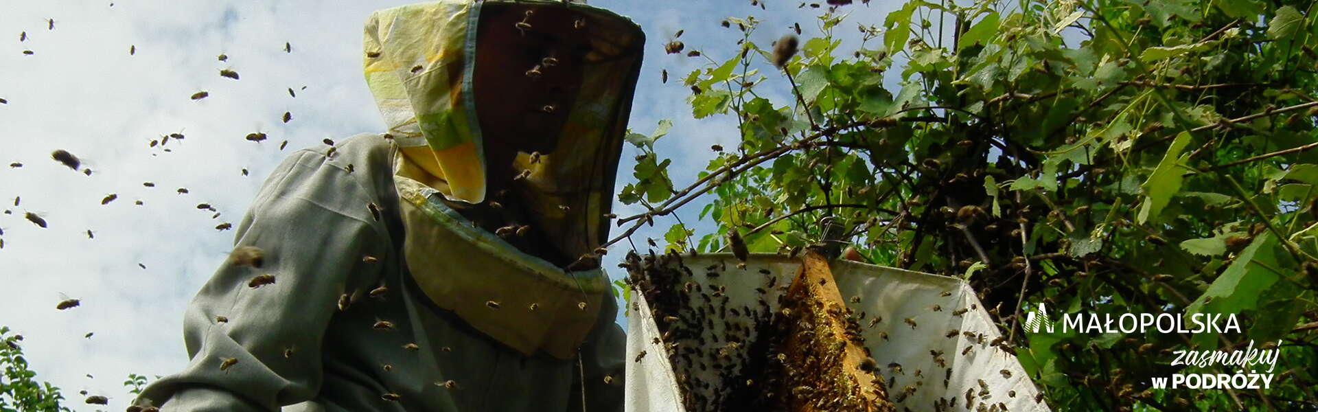 Imker in Imkerkleidung bei der Arbeit, viele fliegende Bienen rundherum, in der rechten unteren Ecke das Logo von Małopolska und die Aufschrift 