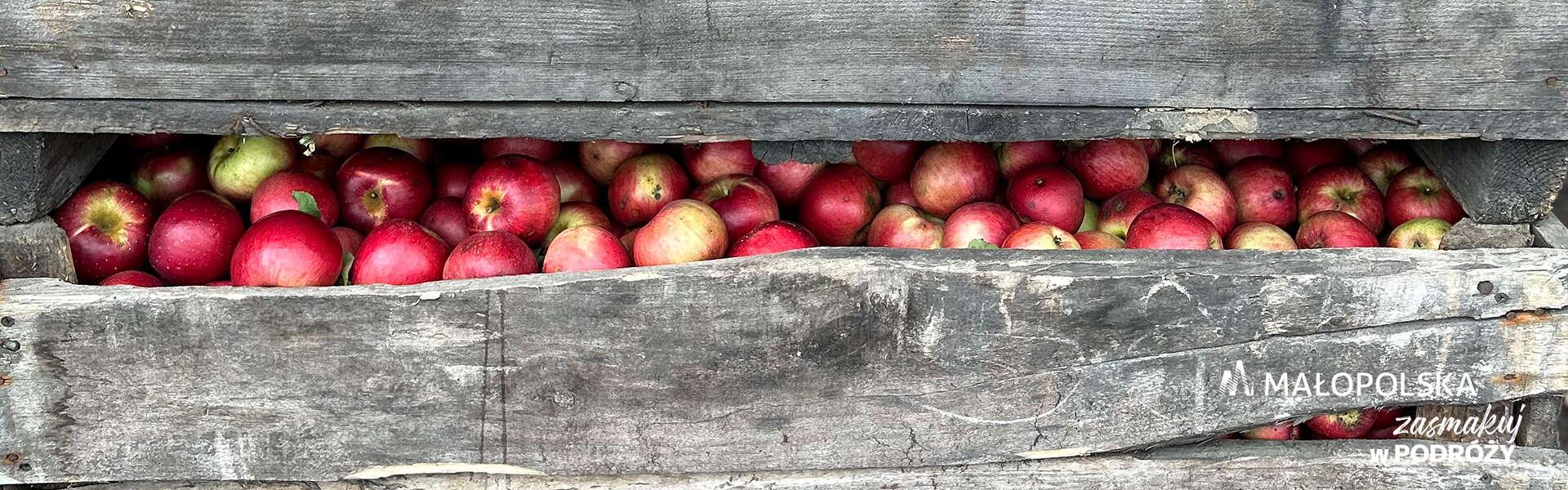 Zbliżenie na drewnianą skrzynkę wypełnioną jabłkami, w prawym dolnym rogu logo Małopolski i napis Zasmakuj w podróży