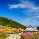 Turyści na Hali Gąsienicowej w Tatrach. Po prawej drewniany budynek obok którego stoją turyści. W tle zbocza gór.