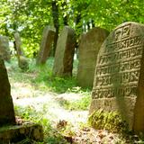 Immagine: Cimitero ebraico a Nowy Wiśnicz