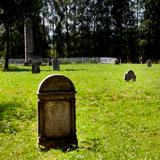 Image: The Jewish cemetery in Nowy Sącz