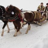 Image: Une Parade de Gazda (fermiers montagnards) – compérage et autres attractions hivernales