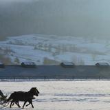 Stadnina Koni Huculskich w Regietowie zimą. Konie huculskie z sańmi oraz ludźmi na śniegu.