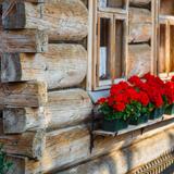 Róg drewnianego domu, widoczne bale, okno i skrzynka z kwiatami.