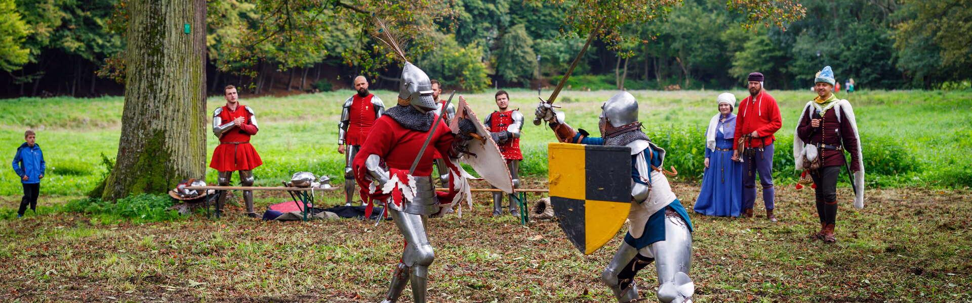 Two men dressed as knights re-enact a battle