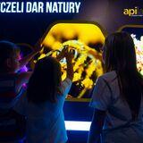 Изображение: Апиландия — Интерактивный центр пчеловодства