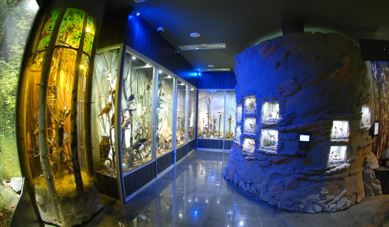 Główna Sala Ekspozycyjna, Muzeum Przyrodnicze Ciężkowice