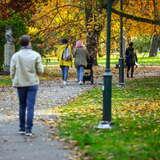 Alejka w Parku Jordana w Krakowie i spacerujący po niej ludzie. Sceneria jest jesienna, trawnik i część chodnika pokrywają liście drzew. Przy alejce znajdują się latarnie oraz pomniki z popiersiem zasłużonych osób.