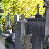 Obrazek: Stary Cmentarz Tarnów