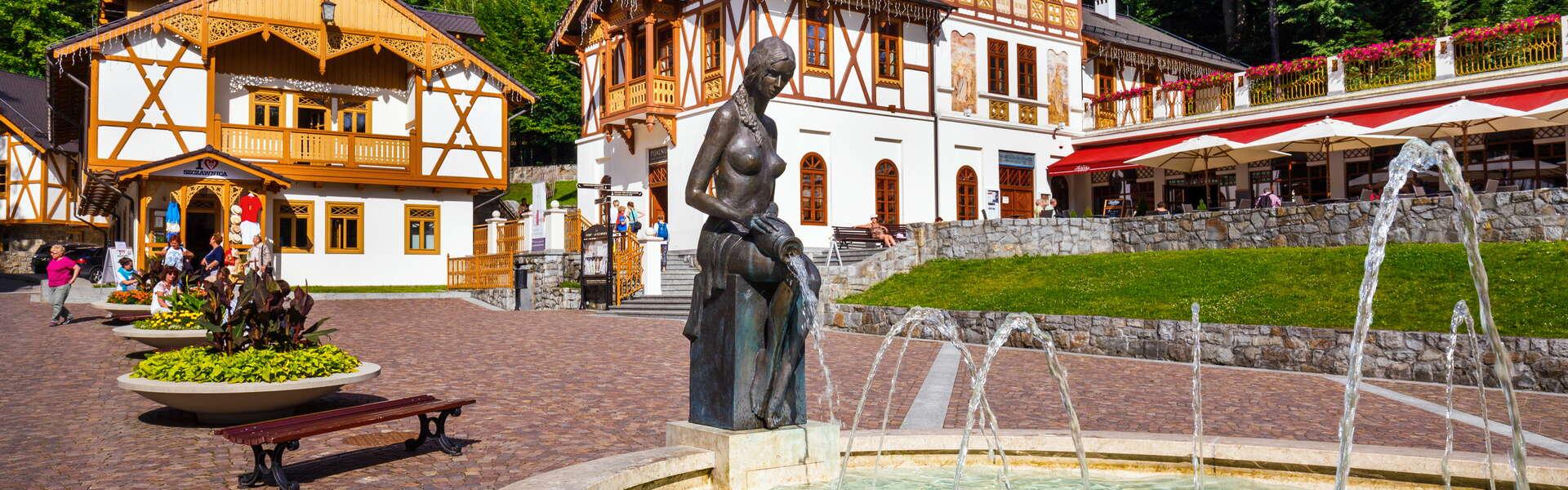 A view of the fountain with a sculpture of a woman. Wooden historic buildings in the background.