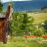 Drewniany wiatrak na łące, w tle przechodzące krowy i krajobraz Beskidu Niskiego
