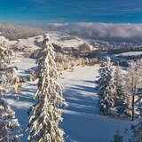 Widok z wieży widokowej na stację narciarską Słotwiny Arena w słoneczny zimowy dzień