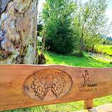drewniana ławka z wyrzeźbionymi winogronami i napisem Winnica Manru, z tyłu zielona choinka i fragment pnia