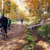 Image: Babia Góra Trails for mountain biking