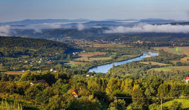 Widok z góry na Gminę Pleśna, czyli zalesione okolice Dunajca. Gdzieniegdzie widoczne są domy, a nad lasami unosi się mgła.