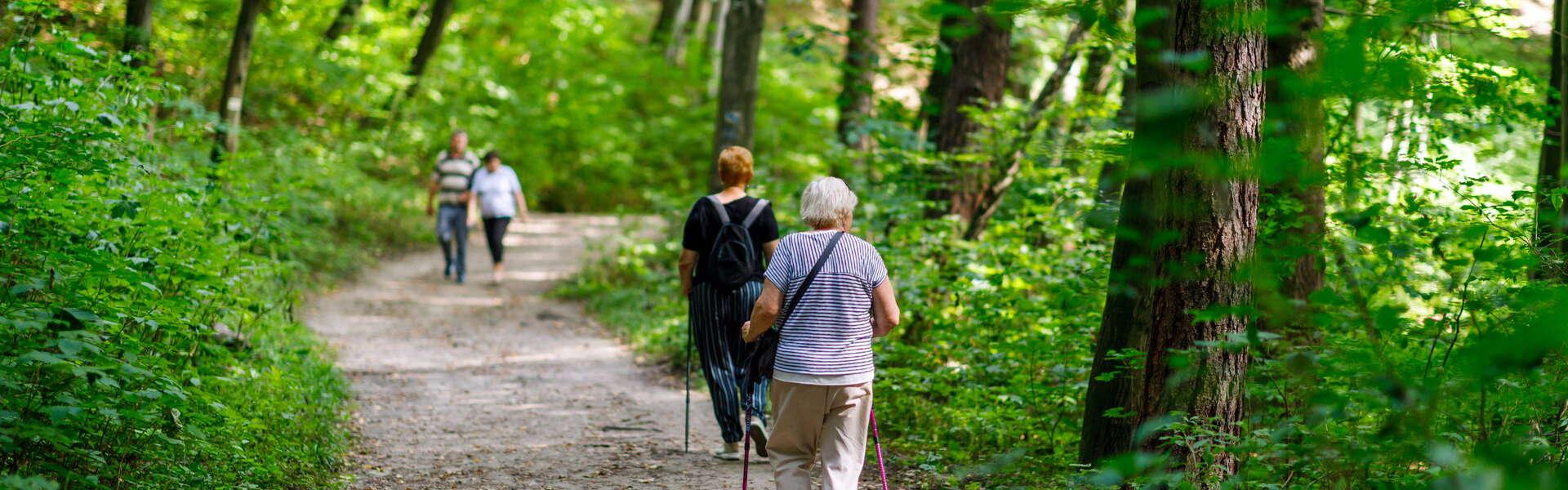 Widok na grupę starszych osób spacerujących po leśnej ścieżce w rezerwacie Doliny Racławki. 2 kobiety na pierwszym planie w ręku trzymają kilki. Wokół las.