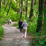 Widok na grupę starszych osób spacerujących po leśnej ścieżce w rezerwacie Doliny Racławki. 2 kobiety na pierwszym planie w ręku trzymają kilki. Wokół las.
