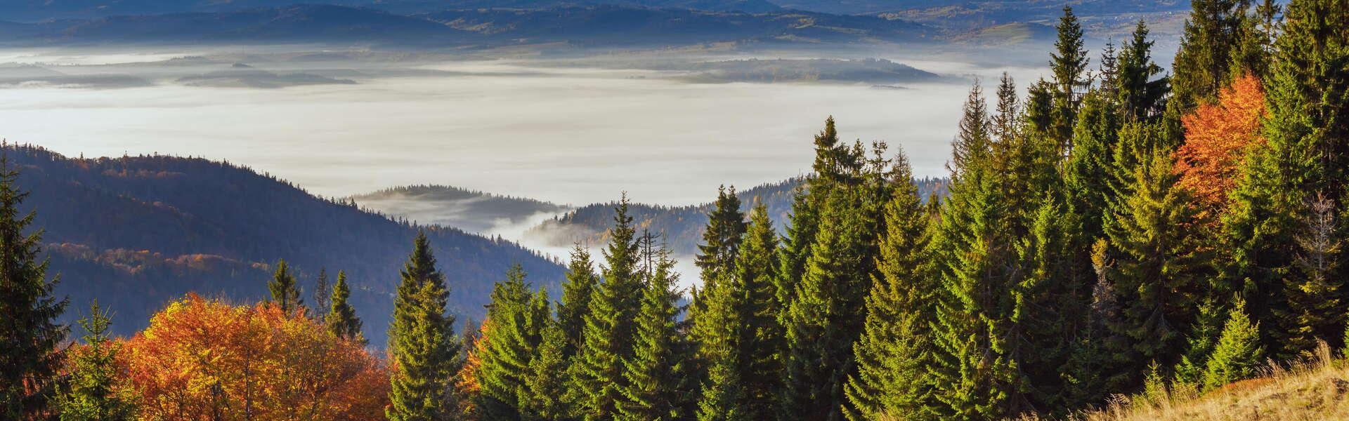 Widok z Turbacza na Tatry.