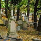Na pierwszym planie kawałek rozmazanego pnia drzewa oraz nagrobek na Starym Cmentarzu Podgórskim w Krakowie. W dalszej części znajdują się pozostałe nagrobki cmentarza oraz drzewa. Chodnik oraz ziemia okryte są jesiennymi liśćmi.