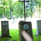 Image: War Cemetery no. 200 in Tarnów
