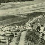 Bild: Kampf bei Limanowa (02. – 11.12.1914)